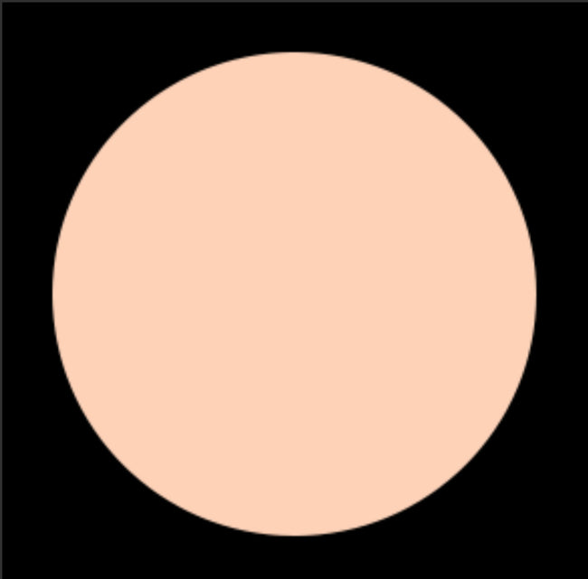 Liquid Concealer