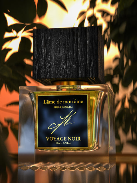 Voyage Noir